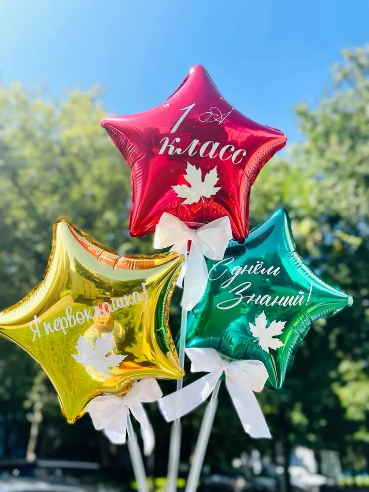 №16 Шары на палочке с индивидуальной надписью — 1 сентября, Лавка Шаров Мытищи