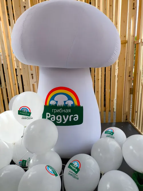 Брендированные воздушные шары с логотипом — работа Лавки Шаров, пример 23