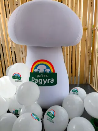Брендированные воздушные шары с логотипом — работа Лавки Шаров, пример 22