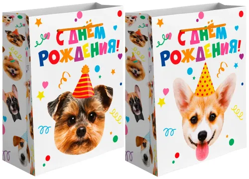 Пакет подарочный, Собачка в колпачке, Лаковый, 23*18*10 см — пакеты подарочные, Лавка Шаров Мытищи